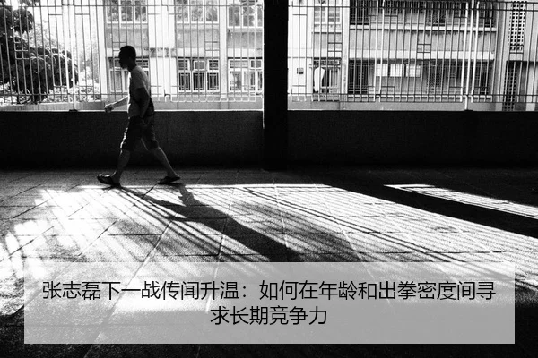 张志磊下一战传闻升温：如何在年龄和出拳密度间寻求长期竞争力