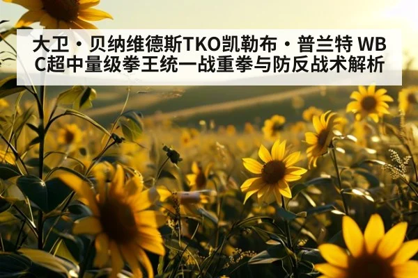 大卫·贝纳维德斯TKO凯勒布·普兰特 WBC超中量级拳王统一战重拳与防反战术解析