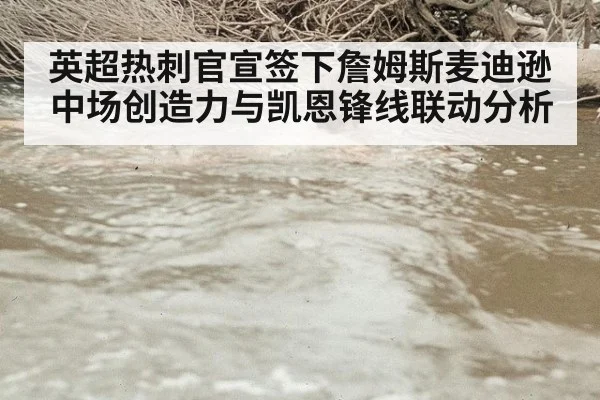 英超热刺官宣签下詹姆斯麦迪逊中场创造力与凯恩锋线联动分析