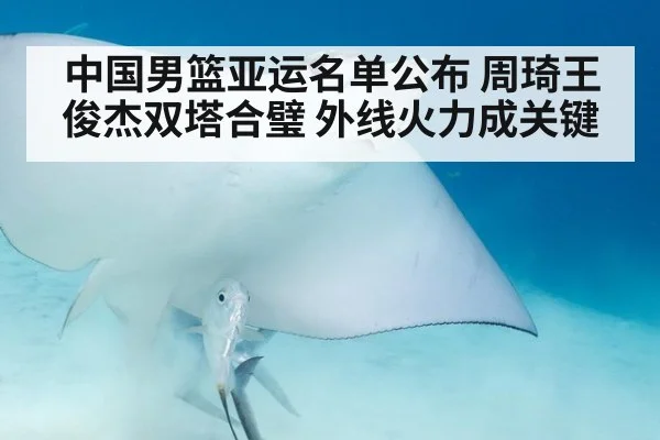 中国男篮亚运名单公布 周琦王俊杰双塔合璧 外线火力成关键